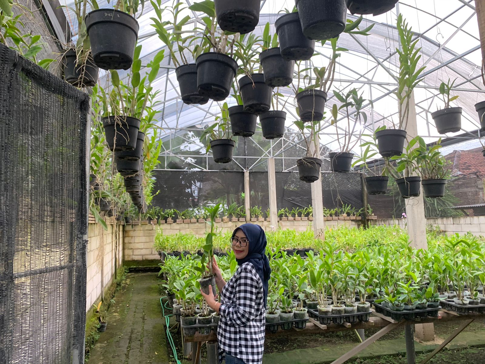 Nandia Anindhita, penggusaha anggrek sukses yang merupakan alumni Pendidikan Biologi UMM